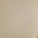 달인손세차 이미지