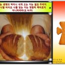 찬송가 / 233장 자비로 그 몸 찢기시고 이미지