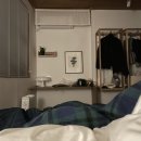 스테이시호일 이미지