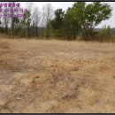 영덕야성초등학교 매정분교장 이미지