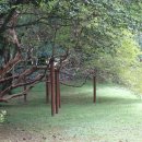 네모나무 민박 이미지