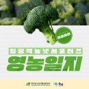 에덴야채