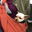 아지나라 이미지