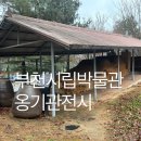 종합운동장지혜의등대 | 부천시립박물관 옹기관 가는법 주차