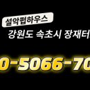 반값애견 이미지