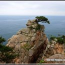 오토스크린 이미지