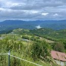 스테이700 이미지