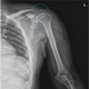 동신한방병원 이미지