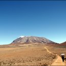 뽈레뽈레 이미지