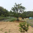 서성동010 이미지