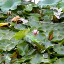 경상감영공원 이미지