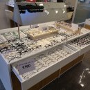 갤러리 코아 안경원 이미지