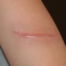 수원-0332 이미지