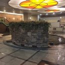 스파레이 이미지