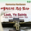 (새찬송가 33장)영광스런 주를 보라(Look, Ye Saints) F+Gb-2024.04.09 이미지