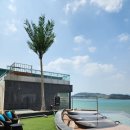 슈가브리움 이미지