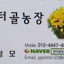 궁산농장 이미지