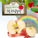 안동사과 - 안동사과 파는곳- 안동사과 왕고집 농장 꼬맹이사과 맛보러 오세요