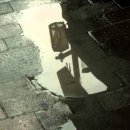 노래를찾는사람들 이미지