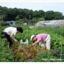 이주용농장 이미지