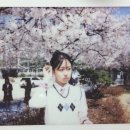 팬더리아 이미지