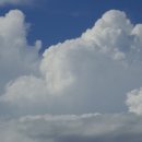 자연농원 이미지