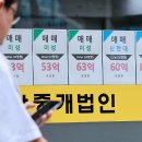 시민부동산공인중개사사무소 조선비즈