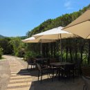 푸른정원 이미지