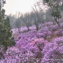 (주)크라이치즈버거