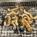 갈릴리농원수산B | 파주 장어 맛집 | 가성비 좋게 즐긴 갈릴리농원