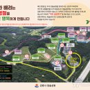 강릉청솔공원 이미지