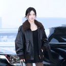 가리 - 군포시 | 가리