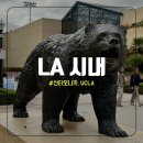 비버리 힐즈 | LA 8박 DAY 7 : 산타모니카 UCLA 비버리힐즈 슈프림 시내 주차
