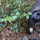 토산농장 이미지