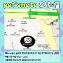 남양주 애견샵 이미지
