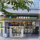 내방역 1번출구 동물병원 앞 | [인천강아지건강검진] 소래동물병원 인천논현점 – 인천동물병원 찾는다면 여기가 정답!