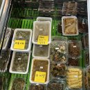 CU 포항흥해대유점 | 포항 흥해 반찬 계란말이반찬