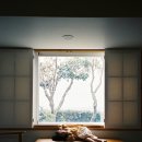 제주클래식위미 이미지