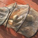 붕어의 신 이미지