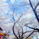 진해공설운동장 야구장 이미지