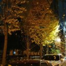 고엽제전우회 남구지회 | 울산 남구, 고엽제전우회 남구지회 고령회원 위안행사 개최