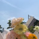 스튜디오알 이미지