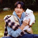 무장초등길 ELLE