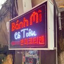 유한회사  제주사랑여행사 | 엄마랑 다낭 자유 여행 우기 #1일차 반미코티엔, 한시장, 목식당 🦀