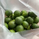 도도2농장 이미지