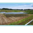 양지 태양에너지 태양광발전소 이미지