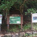 달마스테이 이미지