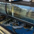 대게좋은집 붉은대게 무한리필 | [공지] [경기도/김포] 내돈내산 무한리필 붉은대게집(홍게) '명품대게&amp;붉은대게 무한리필' 방문 후기