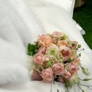 엘리스 | [공지] [W]천안 아이폰 스냅, 베리 피에스타홀 아이폰 스냅 엘리스냅 후기