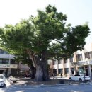 향동동 394 부근 교차로 | 홍성 &#39;홍주 천년길&#39; 여정-고즈넉한 홍주성을 따라 천년 역사를 보다